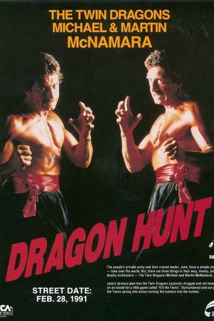 Dragon Hunt's poster image