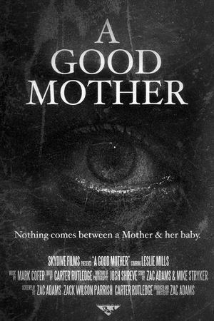 A Good Mother's poster image