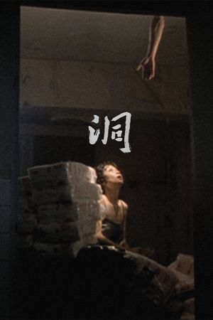 The Hole's poster