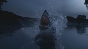 Shark Night's poster