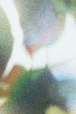 ipsa (I watched the Moon around the House)'s poster