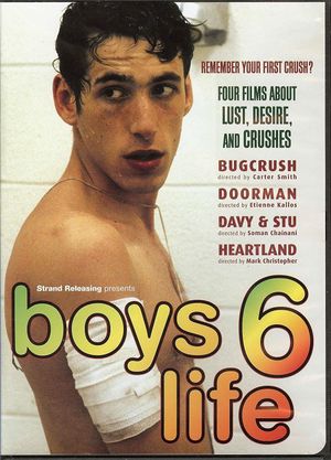 Boys Life 6's poster