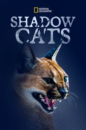 Shadow Cats's poster