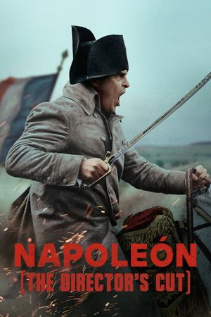 Napoleon's poster