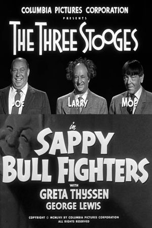 Sappy Bull Fighters's poster