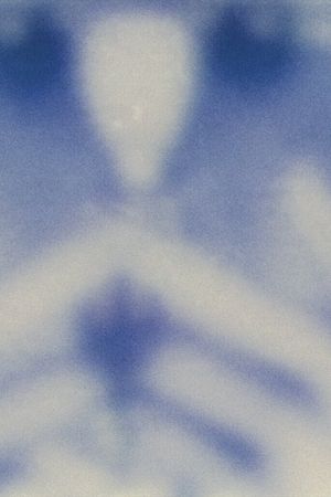 untitled (camera roll)'s poster