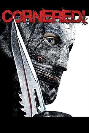 Cornered!'s poster