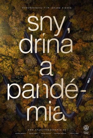 Dreams, Hard Work and Pandemic's poster