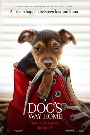 A Dog's Way Home's poster