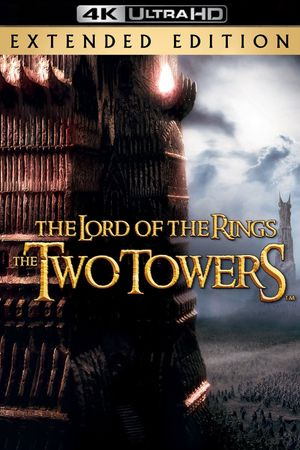The Lord of the Rings: The Two Towers's poster