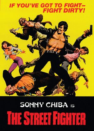The Street Fighter's poster