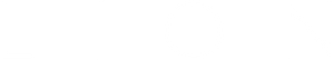 Lion's poster