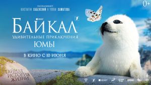 Baikal: Amazing Adventures of Yuma's poster