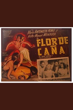 Flor de caña's poster