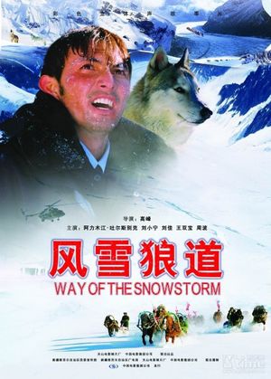 Way of the Snowstorm's poster image