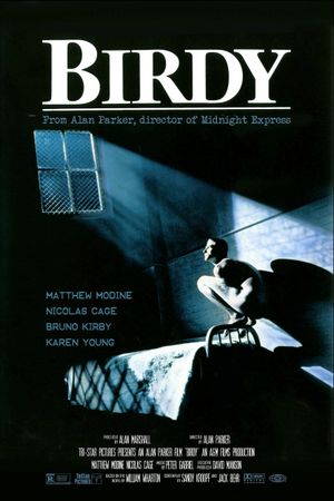 Birdy's poster