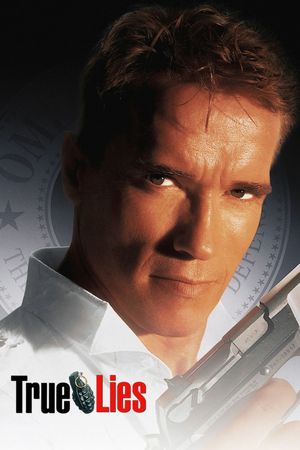 True Lies's poster