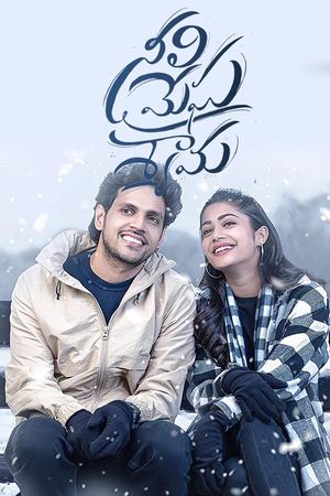Neeli Megha Shyama's poster