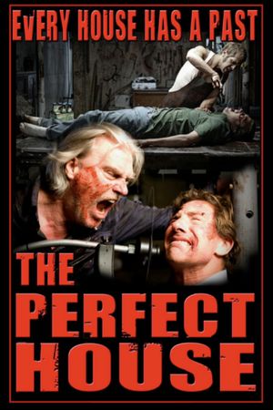 The Perfect House's poster