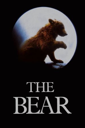 The Bear's poster