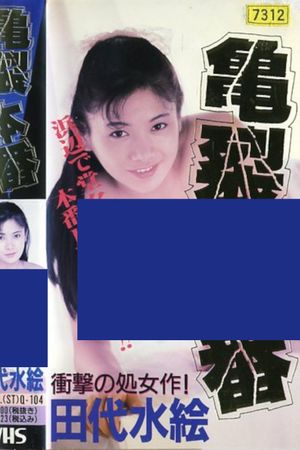 Tashiro Mizue the honban acme's poster