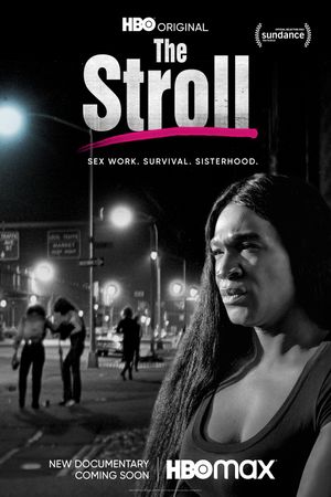 The Stroll's poster