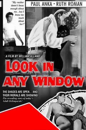 Look in Any Window's poster