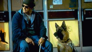 K-9: P.I.'s poster