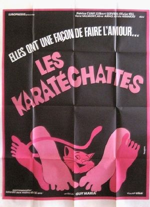 Les pornochattes's poster