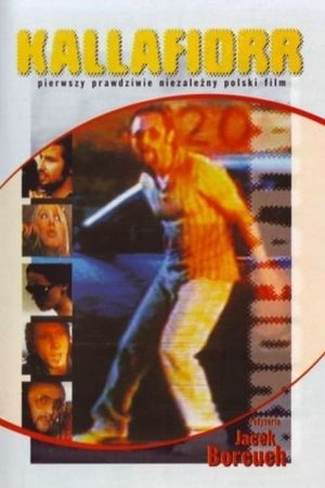 Kallafiorr's poster