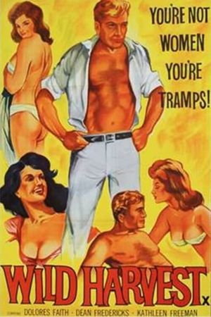 Wild Harvest's poster