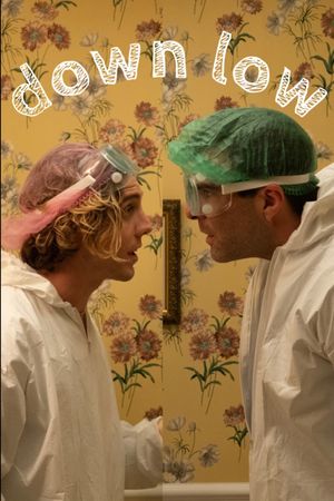 Down Low's poster