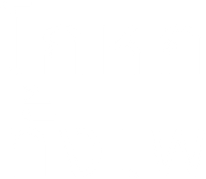 Fake's poster