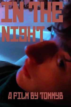 In The Night's poster