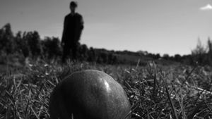 Rotten Apple's poster