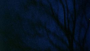 Anticipation of the Night's poster