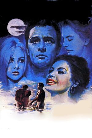On the Trail of the Iguana's poster