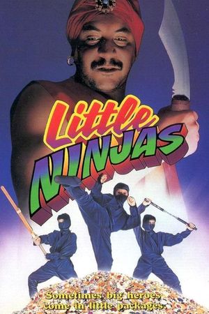 Little Ninjas's poster