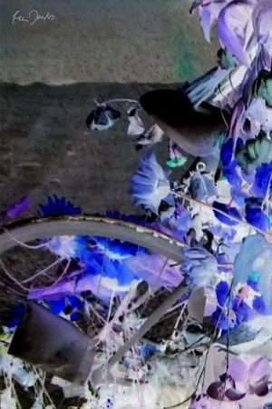 Flowers and Bike's poster