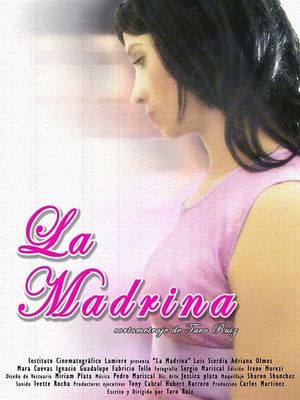 The Godmother's poster