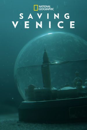 Saving Venice's poster