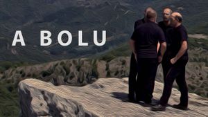 To Bolu's poster