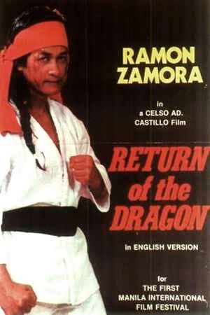 Return of the Dragon's poster
