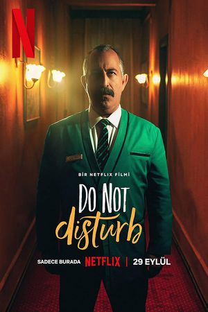 Do Not Disturb's poster