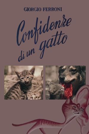 Confidenze di un gatto's poster