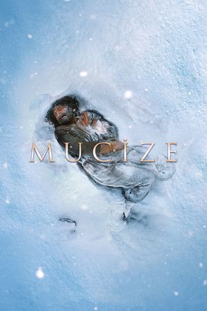 The Miracle's poster
