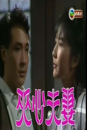 夹心夫妻's poster