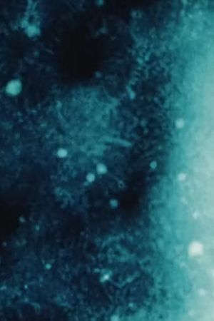 Galaxies [a love letter]'s poster