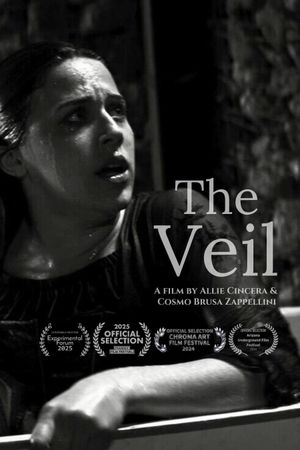The Veil's poster