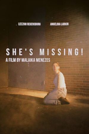 She's Missing!'s poster image